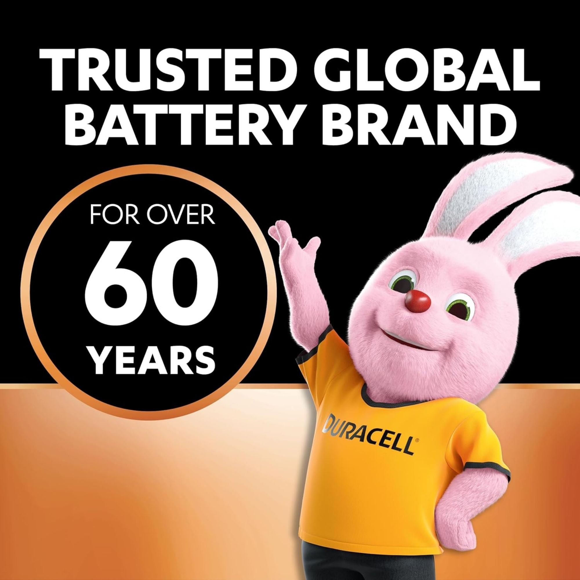 Duracell AAA Batteries 14pk