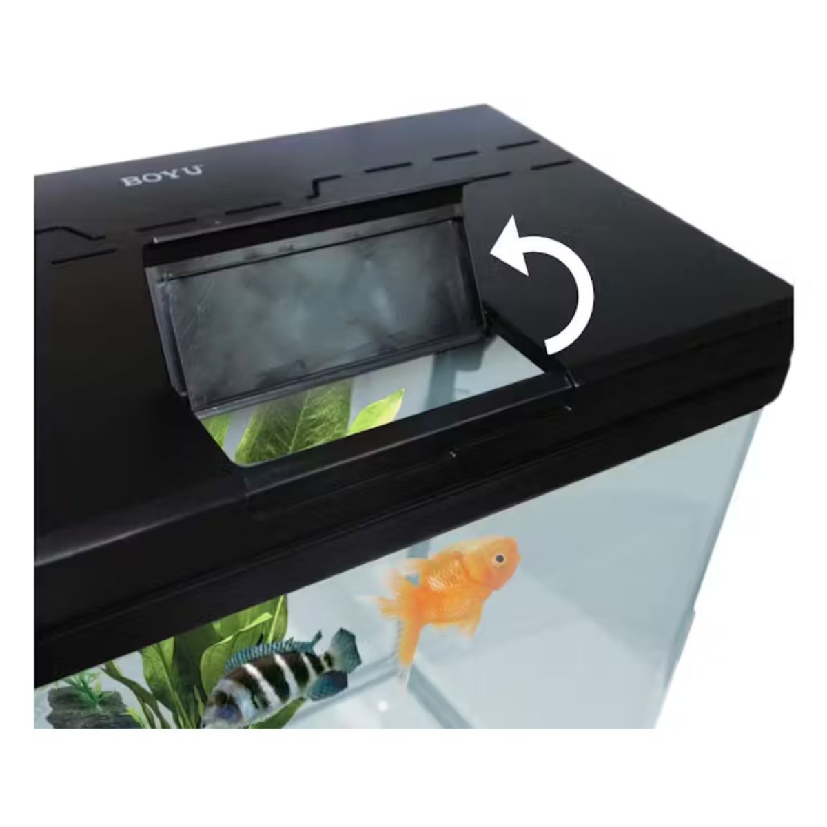 Boyu Aquarium Fish Tank Kit 21L