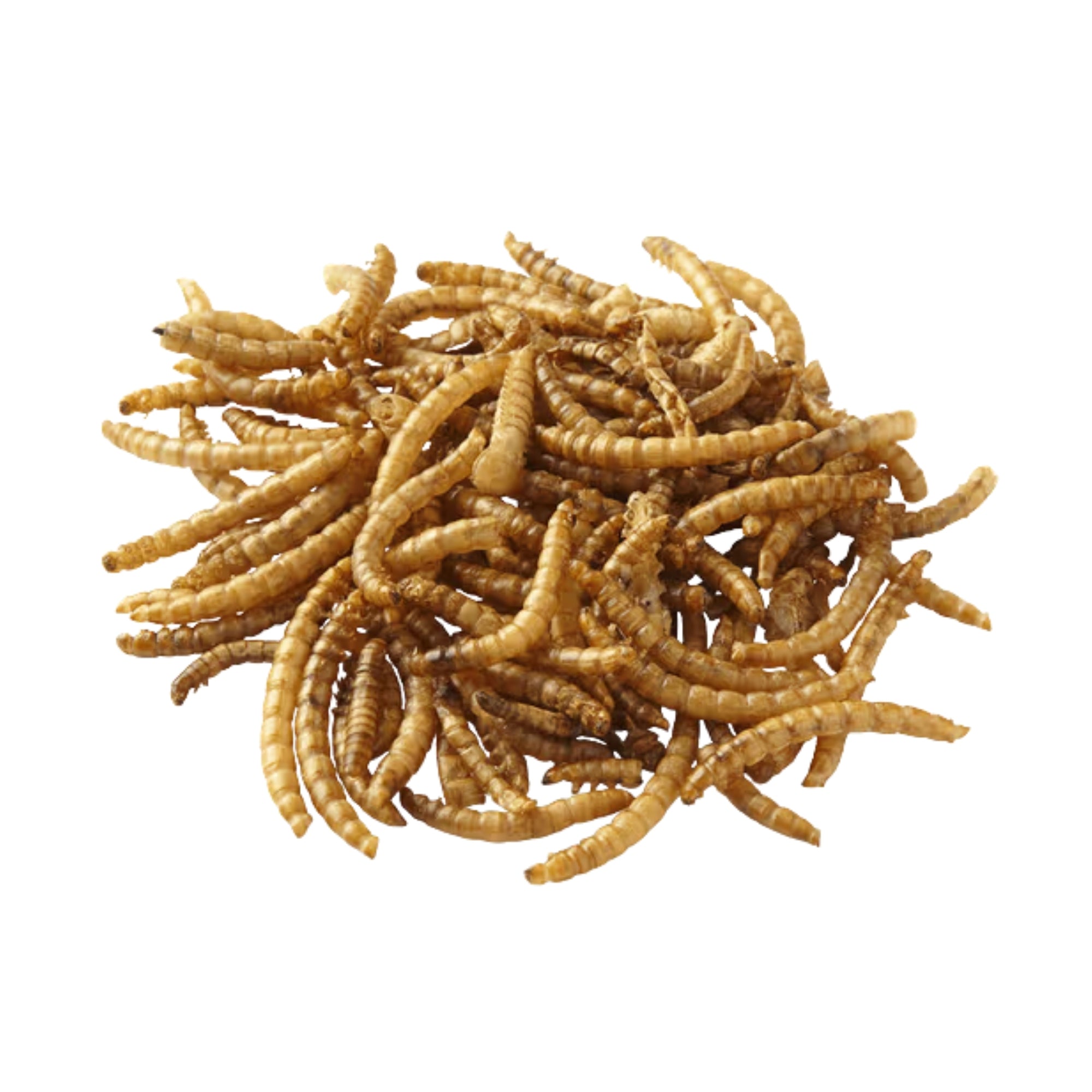 Peters Wormies 40g x10