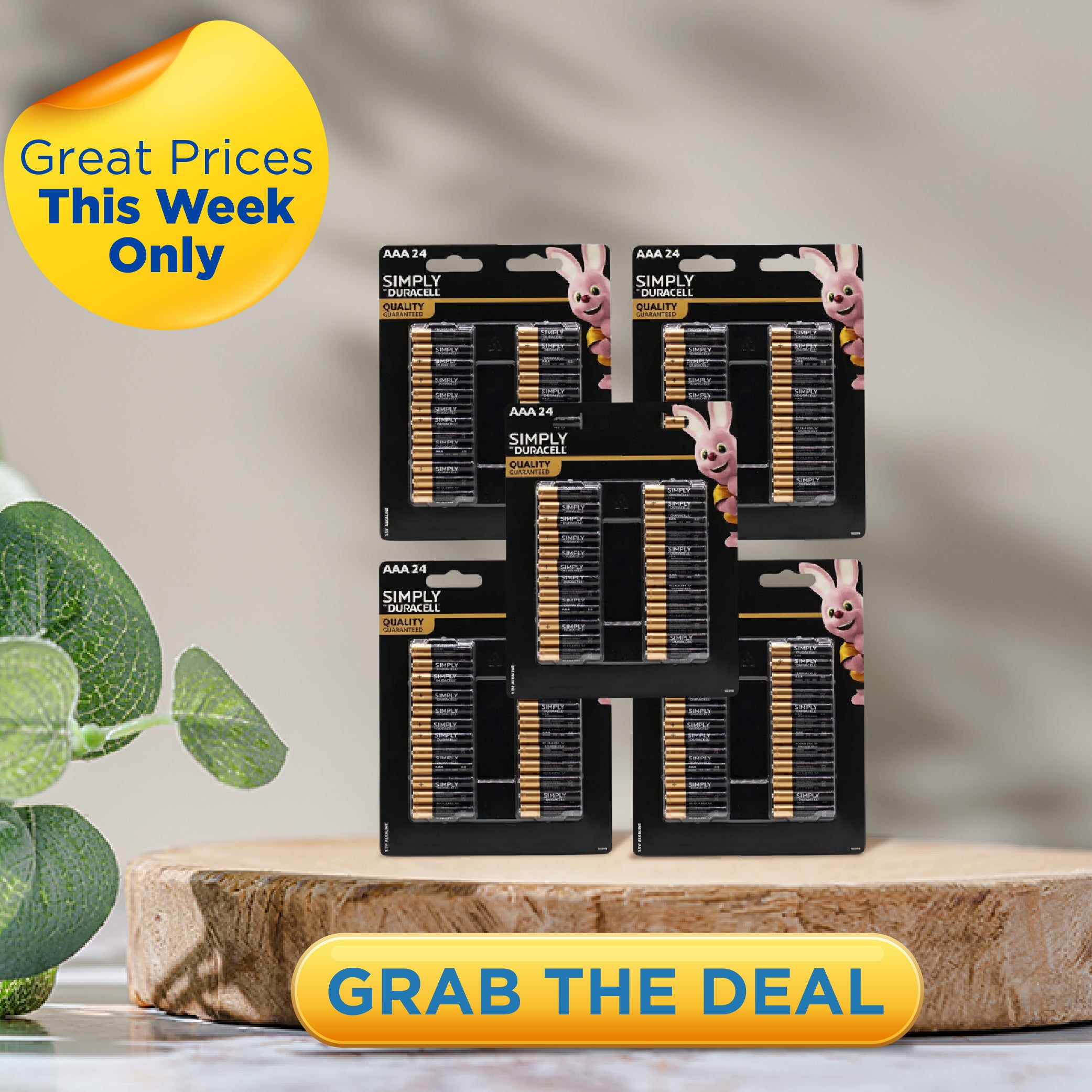 Duracell AAA Batteries 24pk x5